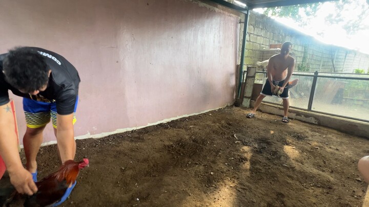 Spar