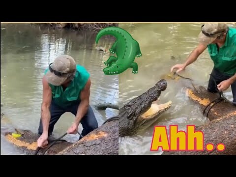 Compilation of funny moments || Tổng hợp khoảng những khắc hài hước 🤣🔥🐷🤣