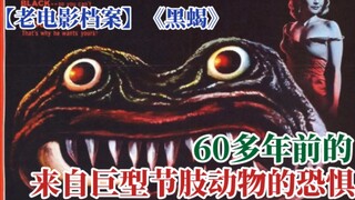 【老电影档案】《黑蝎》60多年前的，那来自那巨型节肢动物的恐惧。