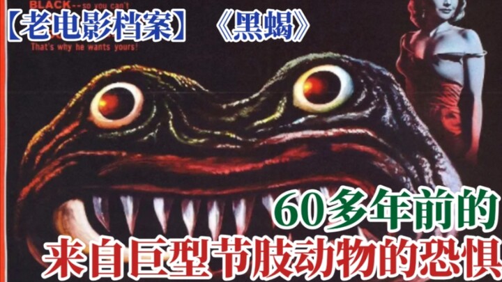 【老电影档案】《黑蝎》60多年前的，那来自那巨型节肢动物的恐惧。
