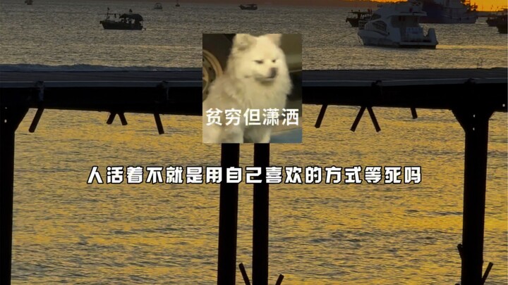 没出息没关系啊，还有气息就已经很厉害了！