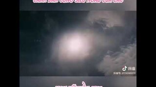 cảnh bắn cung siu ngầu