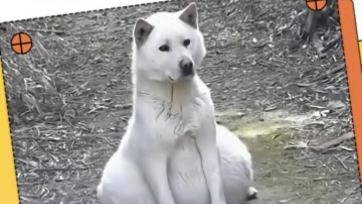 Mom, thank you for finding me.