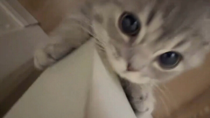 น่ารักจัง ฝ่ามือน้อยของมันนุ่มนิ่มมากเลย