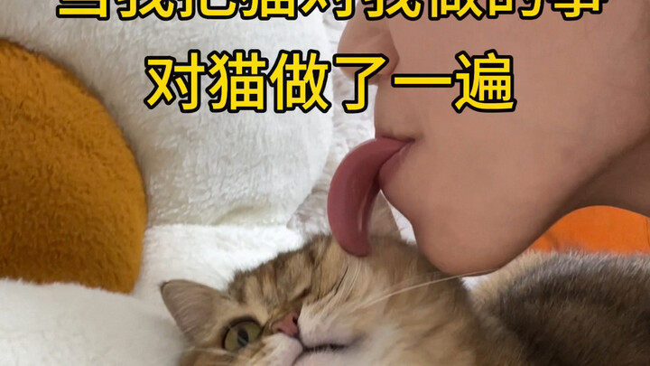 Khi tôi làm lại y nguyên những điều mèo đã làm với tôi đối với mèo! Sướng quá đi mất!!!