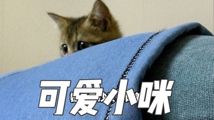 Girls, can you help me see if my kid could be a child model?