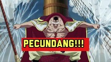 Tsunami Fakta 🗿 Shirohige Pecundang Dari Masa Lalu!! Anime One Piece