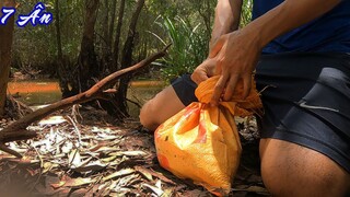 7 Ân - VÔ RỪNG thăm bẫy cá lâu ngày