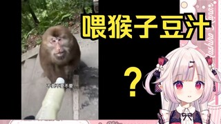 日本萝莉看《挑战拿豆汁去峨眉山喂猴子》当场痛苦面具