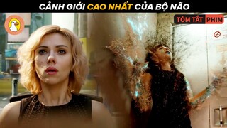 Cảnh Giới Cao Nhất Của Bộ Não | Quạc Review Phim |