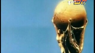 Tsubasa Giấc Mơ Sân Cỏ| tập 10|lồng tiếng