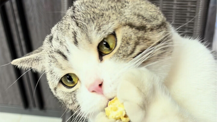 You can even pop popcorn in a regular frying pan! The holidays are just around the corner—have you m