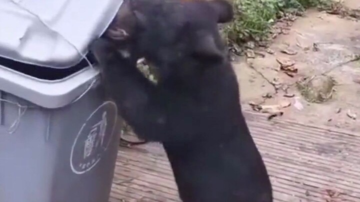 Không phải không muốn đi, chỉ là phải có việc gì đó mình quan tâm thôi.