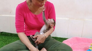 So Sweet Liheang Vs Mom   Liheang Very Happy Play With Mom
