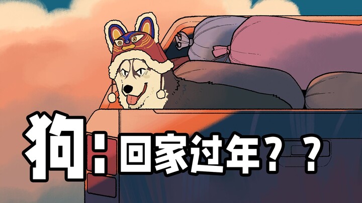 All the "doggos" online are taking their owners home for the New Year!