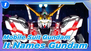 [Mobile Suit Gundam Unicorn] It Names Gundam_1