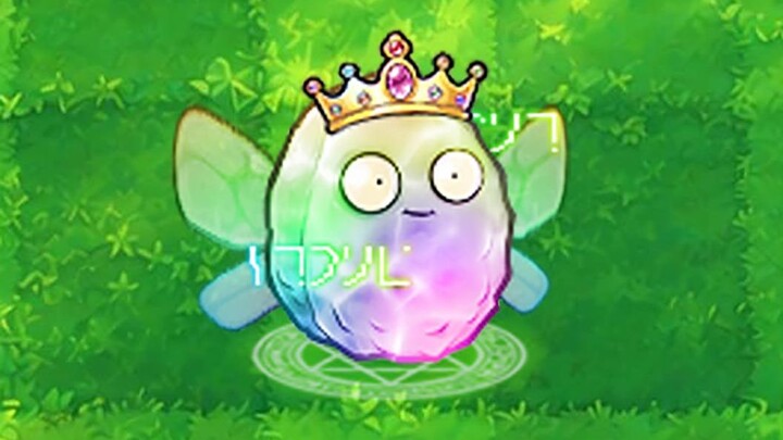 Magic Fairy Nuts!