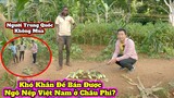 Tập 154|| Antonio đi bán ngô Nếp Việt Nam và cái kết||2Q Vlogs Cuộc Sống Châu Phi