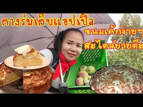 กลัวสามี!รีบเข้าสวนไปเก็บแอปเปิ้ลมาทำขนมเค้กง่ายๆสะไตล์ยายต๊ะชนบท