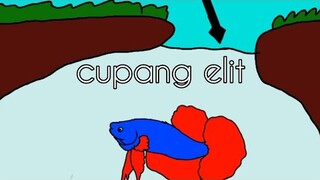 cupang elit