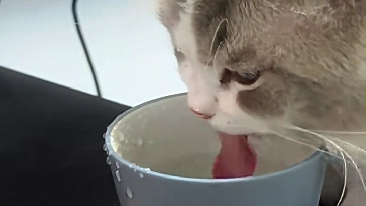 أب تزعزعت قلبه ومينا الأحمق.