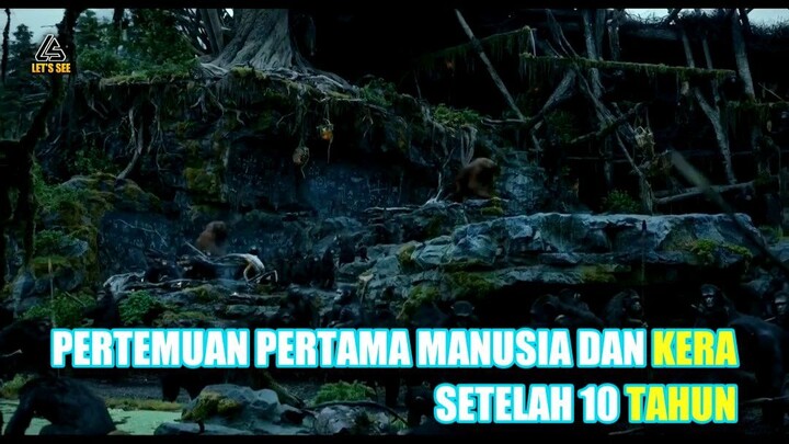Pertemuan Pertama Manusia dan Kera Setelah 10 Tahun