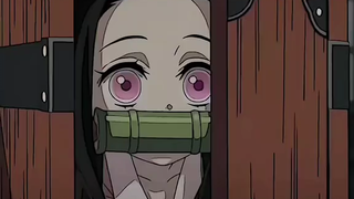 lucu banget sih nezuko