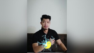 Mệnh gì nuôi chó gì cho hợp phong thuỷ LearnOnTikTok tuitienpet petonesaigon