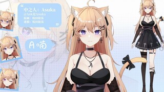 【Live2D模型展示】纯 狱 风 猫 猫