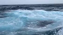 WAVE 🌊 BAGROUND MUSIC