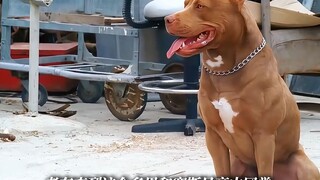 下饭神剧来喽 鸟窝里的手指