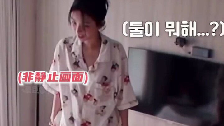 娟总：这个房间只有你俩是吗_
