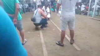 Pinaka ka unang manok ko na nilaban talo 😥 Bawi nalang sa susunod bossing 😀