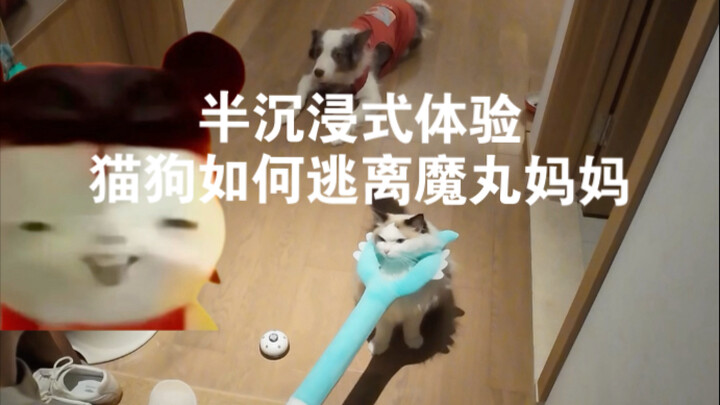 السعادة تأتي أسرع من الهواء البارد