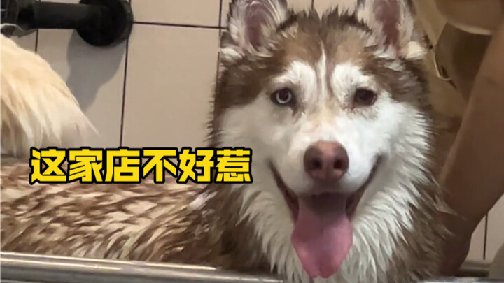 Bos: Kalau kau macam-macam denganku, berarti kau main-main dengan kaca tempered.