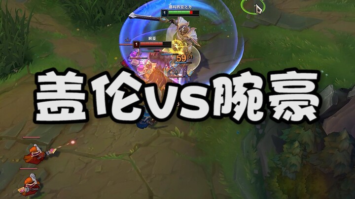 Garen vs. Vi: How Many Details Can You Spot?