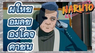 ผู้ให้ข้อมูลของโคจิ คาชิน