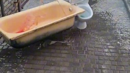 مسابقة التفجير: المرحاض مقابل حوض الاستحمام