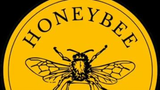 honeybee-bee