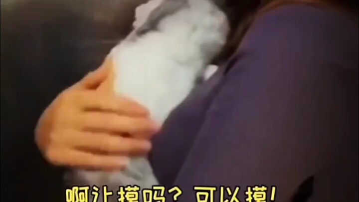 真可爱啊   能带回家吗