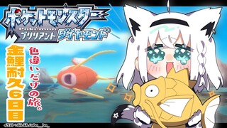 【ポケモンBDSP】色違い旅パ/金コイ耐久６日目【ホロライブ/白上フブキ】