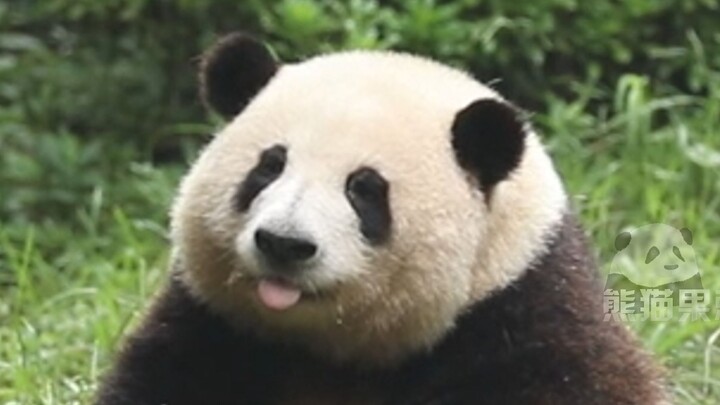 Hoa Hoa: Trẻ con bây giờ ngày càng khó lừa lắm rồi.