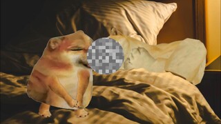 Everyone, take a look at my excuse—do you think it's good?