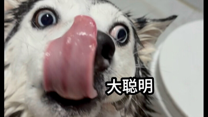 Sudah capek banget, maafin aku bener-bener nggak kuat lagi cuci, pinggang dan punggung sakit banget.