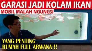 PARAH!! GARASI JADI KOLAM ARWANA SUPER RED MOBILNYA MALAH NGUNGSI