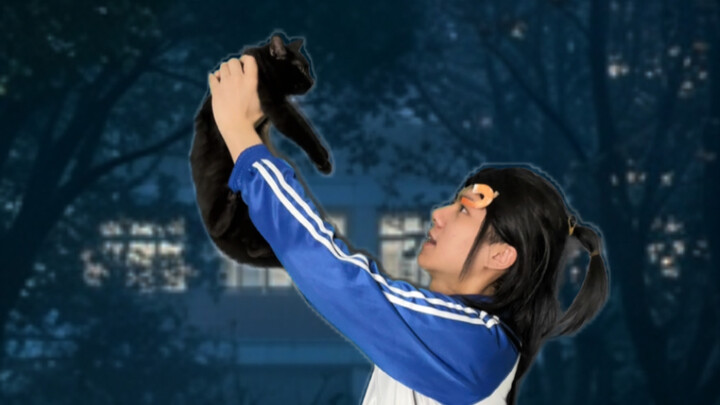 Saat ada kucing liar di sekolah!
