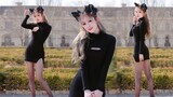 [Xiaoyu] Layar vertikal jarak sangat dekat ❤ Menggoda untuk memutar pinggul Anda~ Kucing hitam kecil