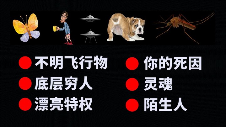 Thế giới kỳ lạ này