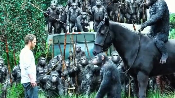 The Monkey King