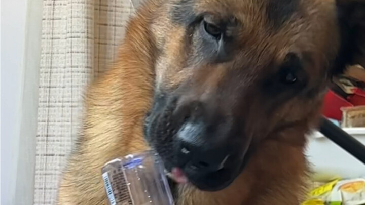 Hertz: Oke, bisa dijual lagi seharga lima rupiah.